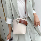 Bucket Bag vs Wild Messenger Bag for Women