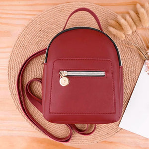 Cordless Backpack Vacuum Small Phone Mobile Bag