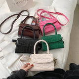 Crocodile Pattern Crossbody Chain Handbag Small Bag PU Leather Ladies 5 Colors