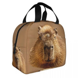 Capybara Dozing In The Sunshine Lunch Bag Insulated for Kids School