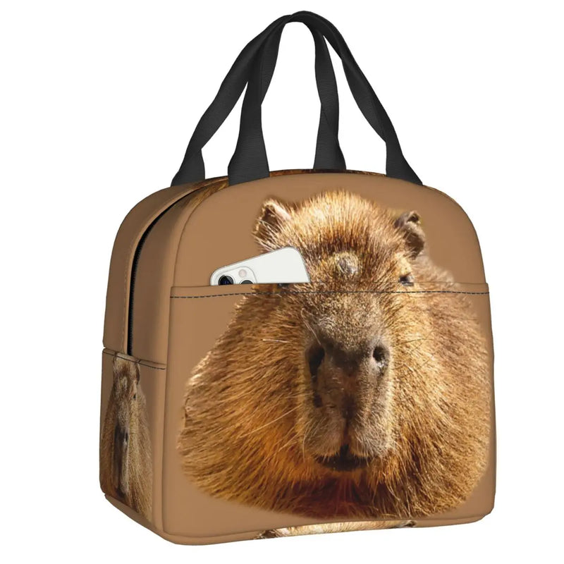Capybara Dozing In The Sunshine Lunch Bag Insulated for Kids School