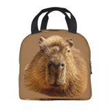 Capybara Dozing In The Sunshine Lunch Bag Insulated for Kids School