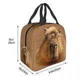Capybara Dozing In The Sunshine Lunch Bag Insulated for Kids School