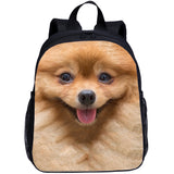 Dog Printing Toddler School Bag 13 Inch Preschool Backpack
