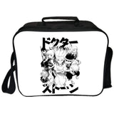 DR.Stone Backpack Picnic Bag Insulated Canvas Lunch Bag