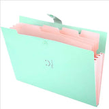 Expanding File Folder Organizer with 5 Pockets A4 Snap Closure Plastic Bags