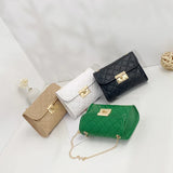 Embroidered Crossbody Bag Fresh Sweet Diamond Chain Messenger Bag