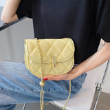 Women's Messenger Bag with Chain Crossbody Round Ball Shoulder Bag