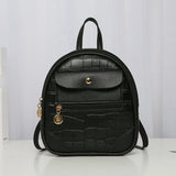 Famous Travel Backpack Ladies Shoulder Backpack Anti-theft High Pu Women