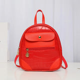Famous Travel Backpack Ladies Shoulder Backpack Anti-theft High Pu Women