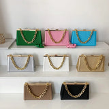 Chain Handle Pleated Shoulder Bag Clutch Purses Crossbody Bag Long Belt