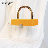 Clear PVC Crossbody Bags Transparent Handbags Top Handle Box Purses