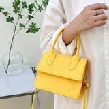 Small Square Shoulder Crossbody Bag for Women