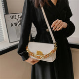 Chain Shoulder Crossbody Bag for Women Small Hand Bag