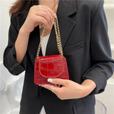Small Square Crossbody Bag Korean Summer Style Chain Embossed Stone Grain