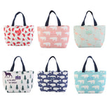Insulation Portable Lunch Bag for Girls Boys Travel