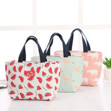 Insulation Portable Lunch Bag for Girls Boys Travel