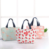 Insulation Portable Lunch Bag for Girls Boys Travel