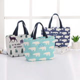 Insulation Portable Lunch Bag for Girls Boys Travel