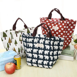 Insulated Hedgehog Lunch Bag Multicolor Hand Carry Travel Picnic Box
