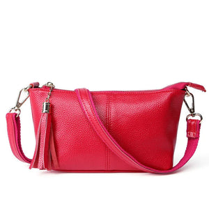 Small Crossbody Bag for Women Leather Messenger Bag