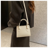 Mini Square Bag Vintage Handbag Shoulder Messenger Bag