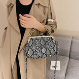 Thick Chain Serpentine Crossbody Bag Female Shoulder Bag