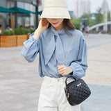 Women Small Messenger Bag Lingge Embroidery Shoulder Chain Phone Purse