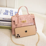 Lingge Embroidery Camera Shoulder Bag Crossbody Chain Bags