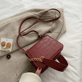 Small Square Bag Women Handbag Chain Crossbody Bag