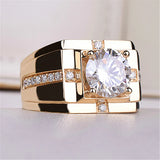 Men's Zircon Diamond Gemstone Ring Rose Silver Jewelry