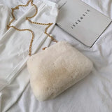 Faux Fur Crossbody Bags for Women Autumn Winter Plush Purses