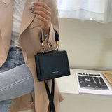 Women's Small Chain Crossbody Bag Winter Leather Handbag