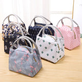 Insulated Canvas Lunch Bag Portable Cooler Lunch Box for Women Kids Men