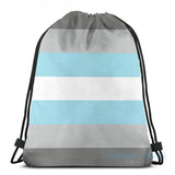 Funny DemiBoy Flag USB Charge Backpack School Bag