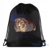 Funny Guinea Pig USB Charge Backpack School Laptop Bag