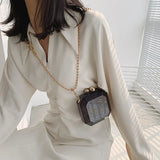 Acrylic Evening Clutch Bag Clear Wedding Chain Mini Shoulder Bag