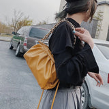 Chain Cloud Bag Dumpling Crossbody Handbag