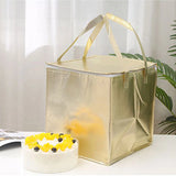 Insulated Bag Thermal Cooler Picnic Foldable Ice Pack Portable Cake Carrier
