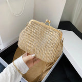 Summer Women Lady Wild Mini Square Straw Bag Messenger Bag