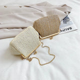 Summer Women Lady Wild Mini Square Straw Bag Messenger Bag