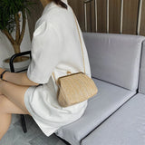 Summer Women Lady Wild Mini Square Straw Bag Messenger Bag