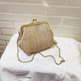 Summer Women Lady Wild Mini Square Straw Bag Messenger Bag