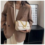 Leather Square Chains Handle Women's Shoulder Bag