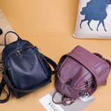 Women's College Style Backpack Double Shoulder Bags