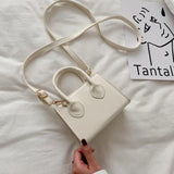 Small Shoulder Bag Crossbody Purse Tote for Women