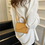 Small Shoulder Bag for Women Crossbody Purse Flap Tote