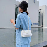 Plaid Shoulder Bag Small Crossbody Bags for Women Chain Messenger Bags