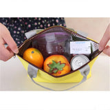 Insulated Aluminum Cooler Lunch Bag Waterproof Travel Tote