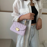 Small Chain Shoulder Bag with Lingge Design